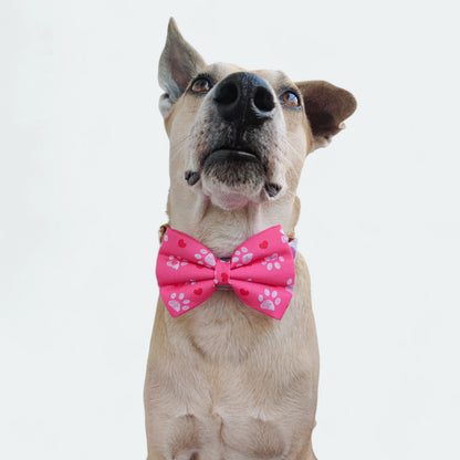 Pookie Paws Classic Bow for Dogs