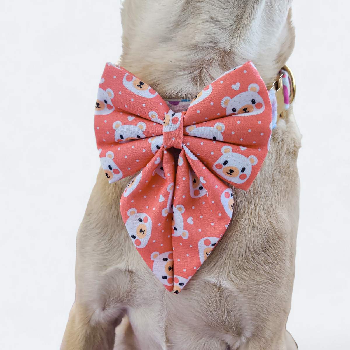 Bear-y Cute Sailor Bow