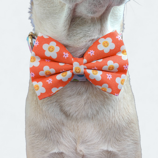 Blooming Smiles Classic Bow