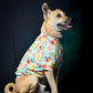 Citrus T shirt