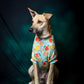 Citrus T shirt