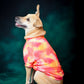 Sunset T shirt