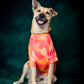 Sunset T shirt