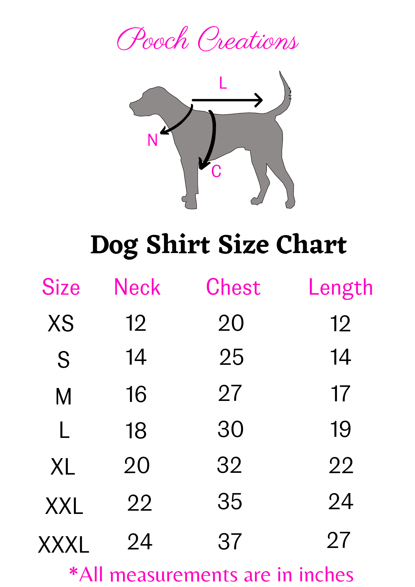 Dazzle Dale Shirt