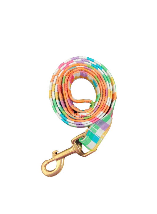 Rainbow Plaid Leash