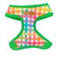 Rainbow Plaid Harness
