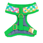 Rainbow Plaid Harness