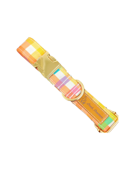 Rainbow Plaid Collar