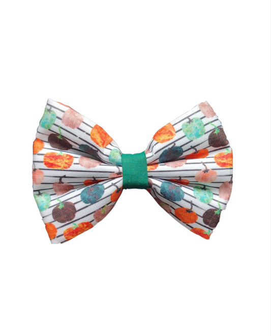 Oh my Pumpkin Classic Bow