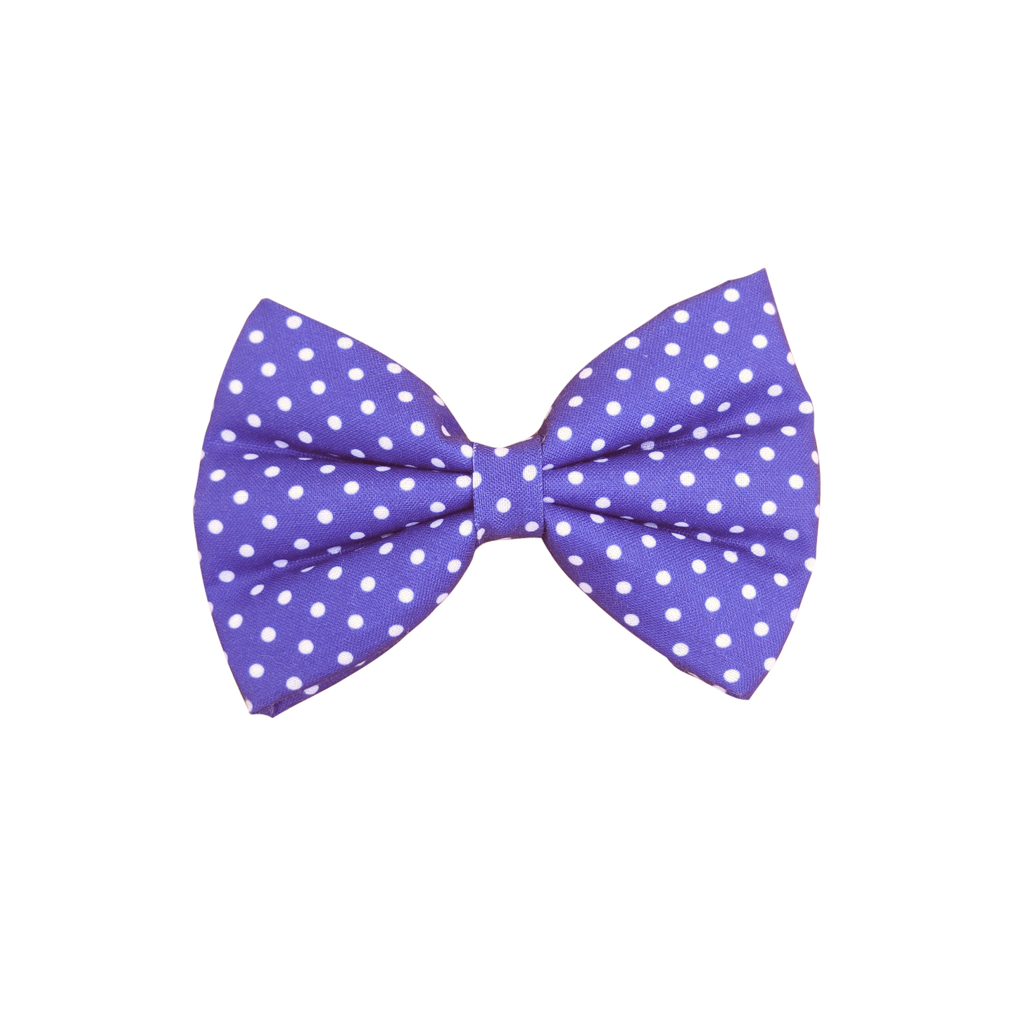 Dark Dotty Harness + Collar + Leash +  Classic Bow