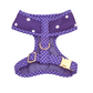 Dark Dotty Harness + Collar + Leash +  Classic Bow