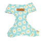 Daisy Harness