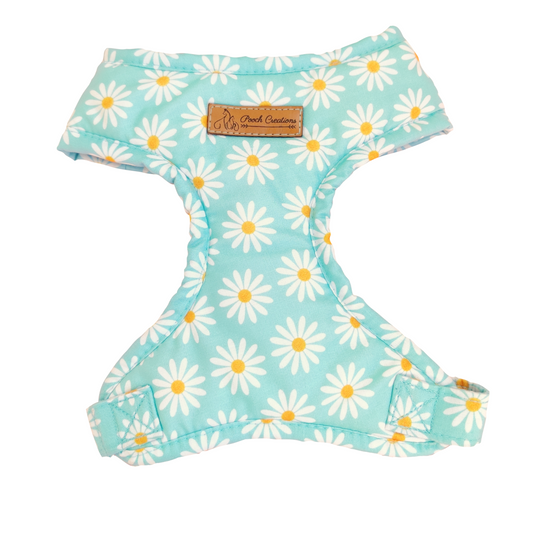 Daisy Harness + Collar + Leash + Bandana