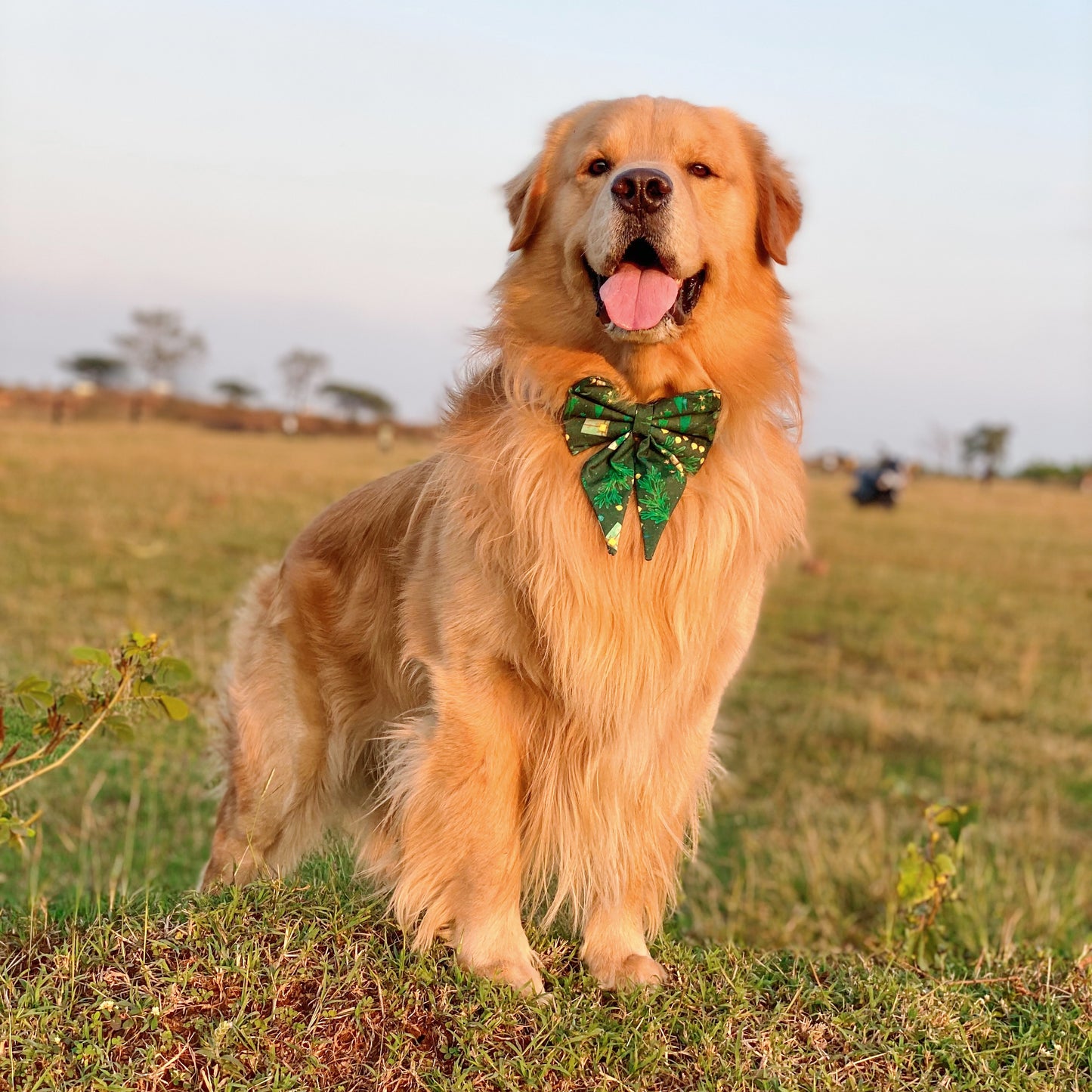 Holly Jolly Sailor Bow