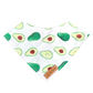 Avocado Collar + Leash + Bandana