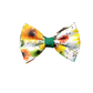 Sunflower Collar + Leash + Classic Bow
