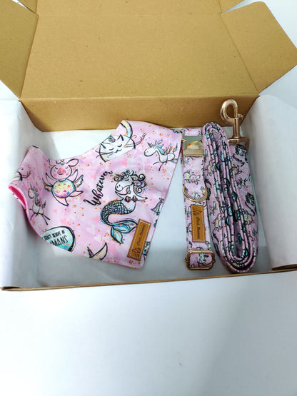 Unicorn Magic Collar + Leash + Bandana