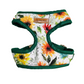 Sunflower Harness + Collar + Leash + Sailor Bow