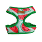 Watermelon sugar Harness