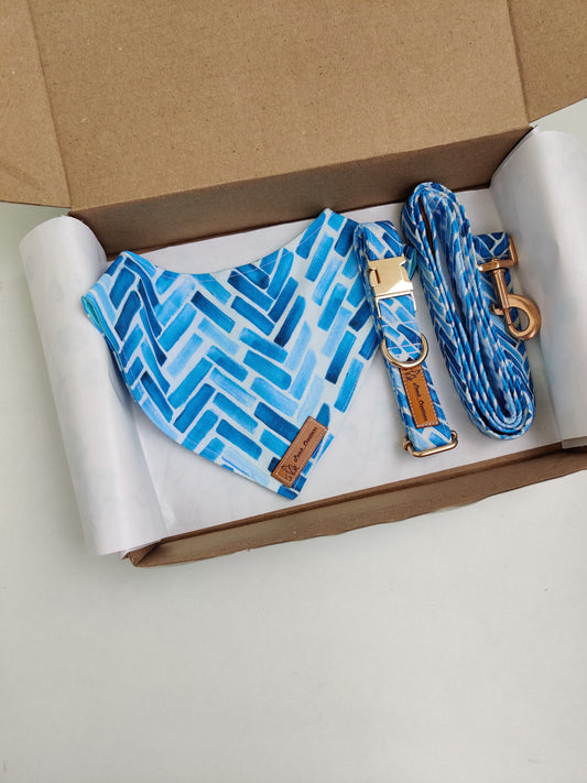 Herringbone Collar + Leash + Bandana