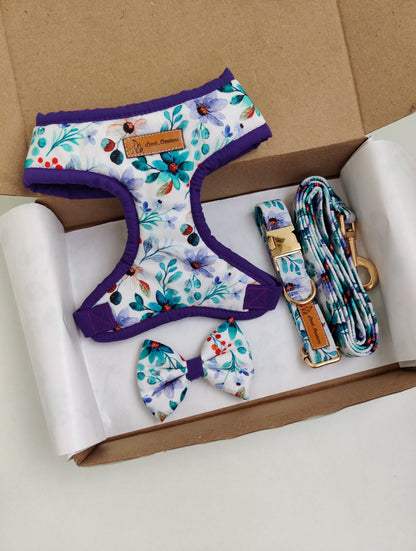 Petunia Harness + Collar + Leash + Classic Bow