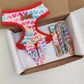Sweet Heart Harness + Collar + Leash + Sailor Bow