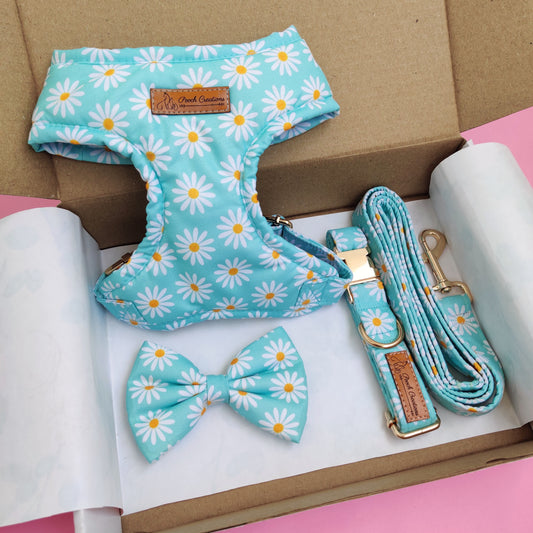 Daisy Harness + Collar + Leash + Classic Bow