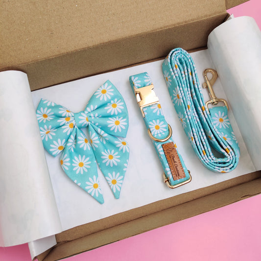Daisy Collar + Leash + Sailor Bow