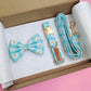 Daisy Collar + Leash + Classic Bow
