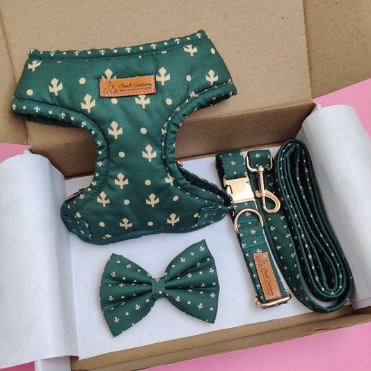 Olive Harness + Collar + Leash + Classic Bow