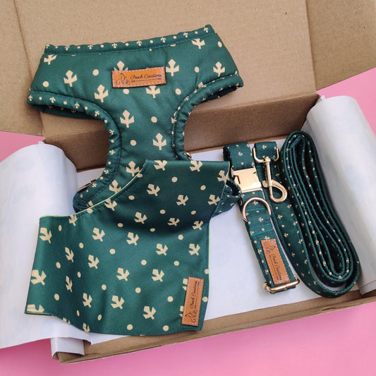 Olive Harness + leash + Collar + Bandana