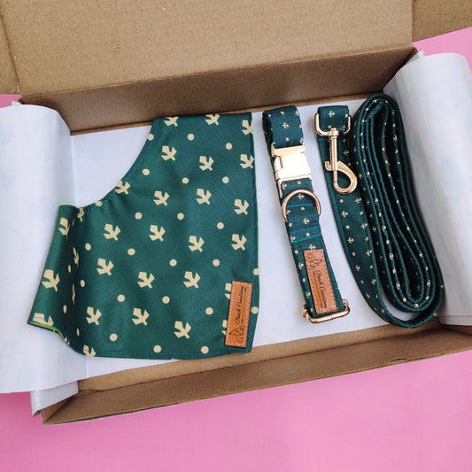 Olive Collar + Leash + Bandana