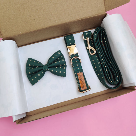 Olive Collar + Leash + Classic Bow