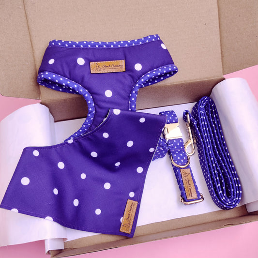 Dark Dotty Harness + Collar + Leash + Bandana