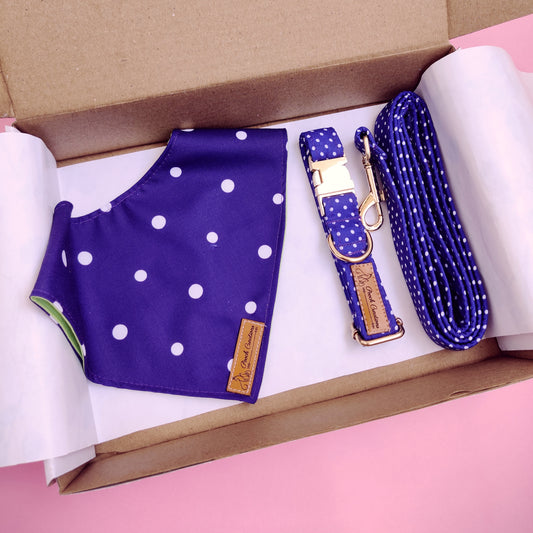 Dark Dotty Collar + Leash + Bandana