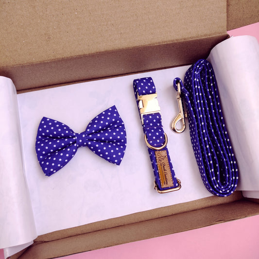 Dark Dotty Collar + Leash + Classic Bow