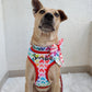 Sweet Heart Harness + Collar + Leash + Sailor Bow