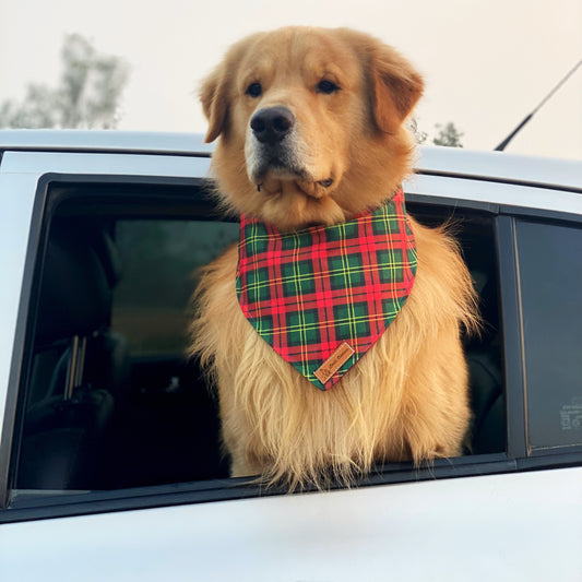 Christmas Plaid Bandana