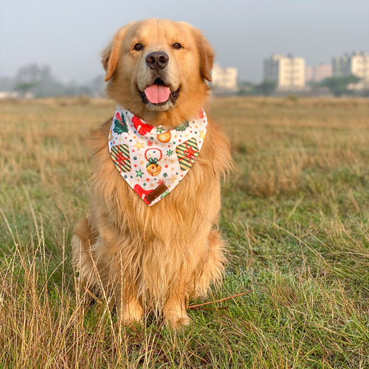 Christmas presents Bandana