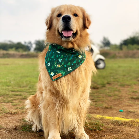 Holly Jolly Bandana