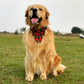 Christmas Plaid Sailor Bow