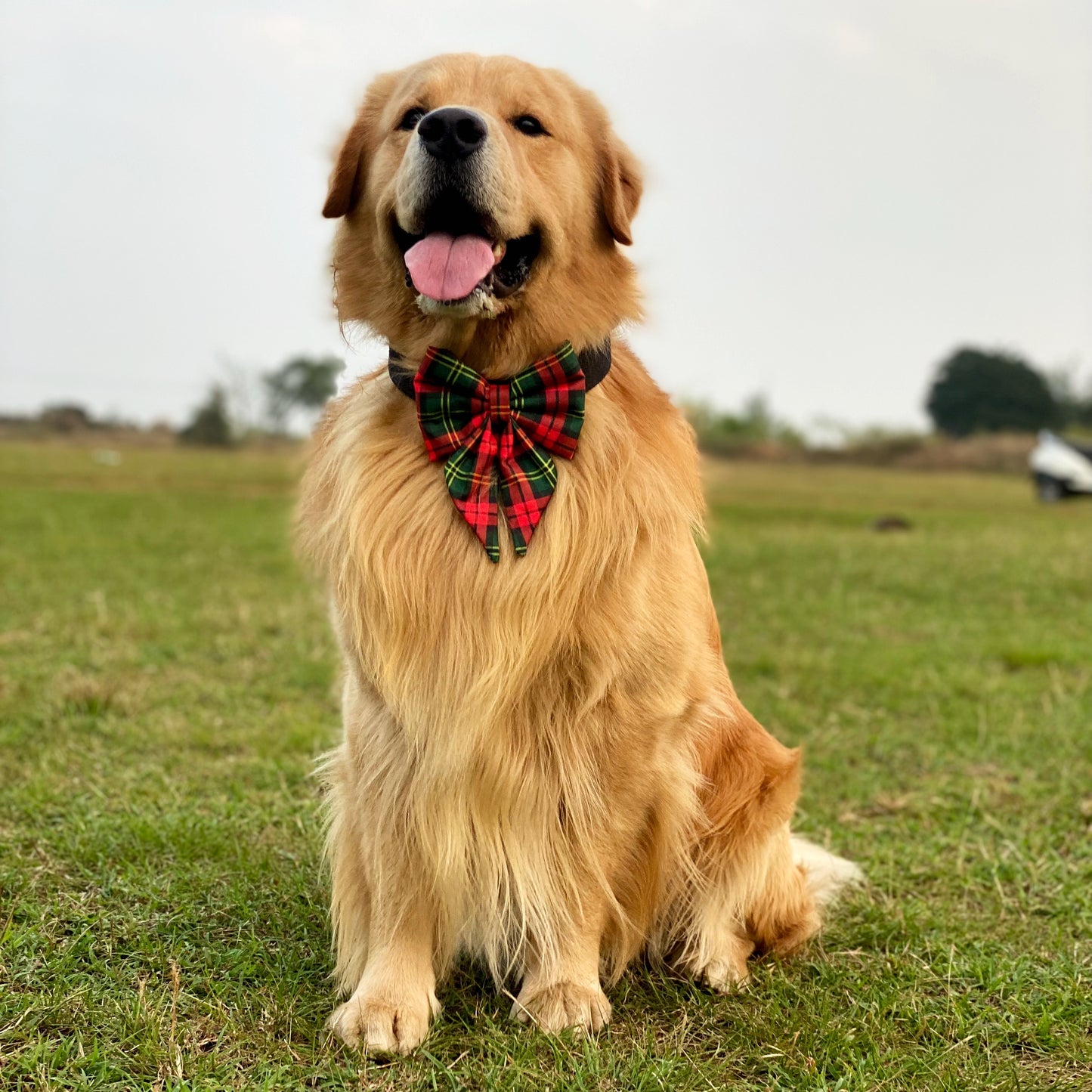 Christmas Plaid Sailor Bow
