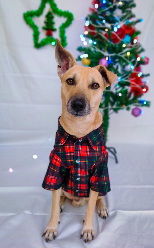Basic Tartan Shirt