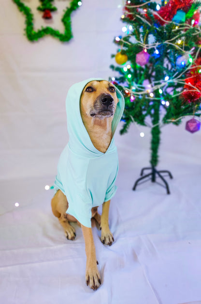 Mint Sweatshirt