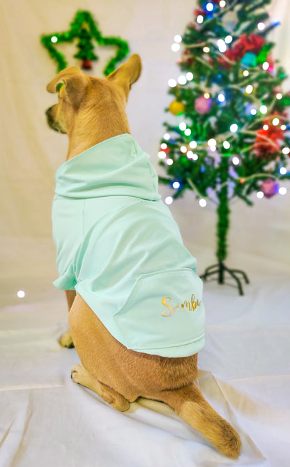 Mint Sweatshirt