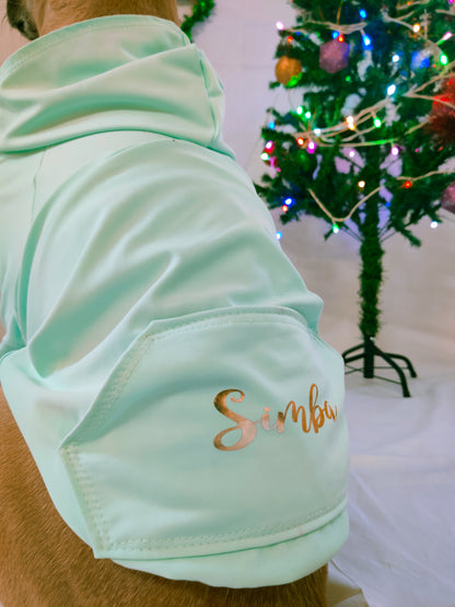 Mint Sweatshirt