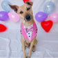 Pink Plaid Tuxedo Bandana